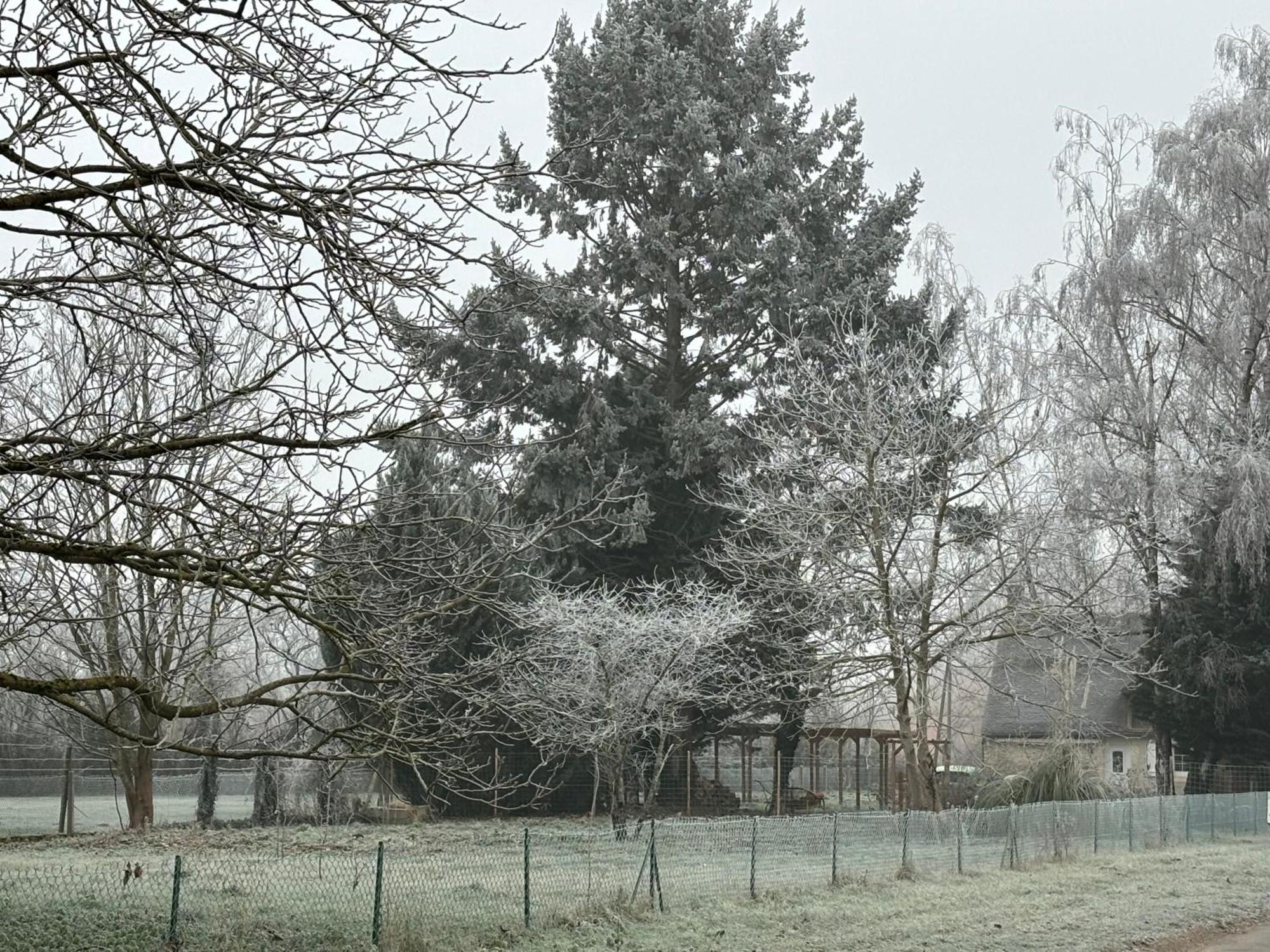 La Haute Tremiere Charenton-du-Cher Luaran gambar